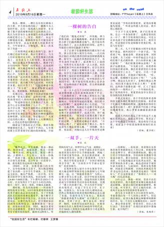 ̎288-4.jpg